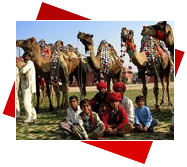 Manufacturers Exporters and Wholesale Suppliers of Rajasthan Tour Agra Uttar Pradesh
